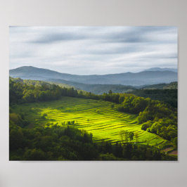 Sol på fält av terrasser poster