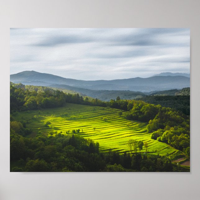 Sol på fält av terrasser poster (Framsidan)