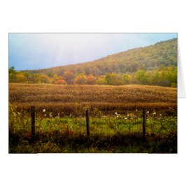 Sol på hösten hälsningskort