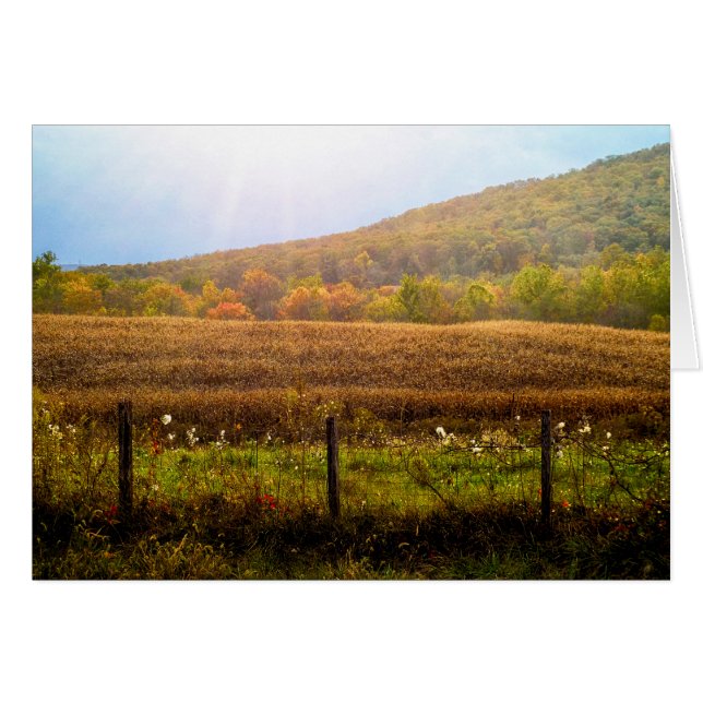 Sol på hösten hälsningskort (Framsidan Horizontal)