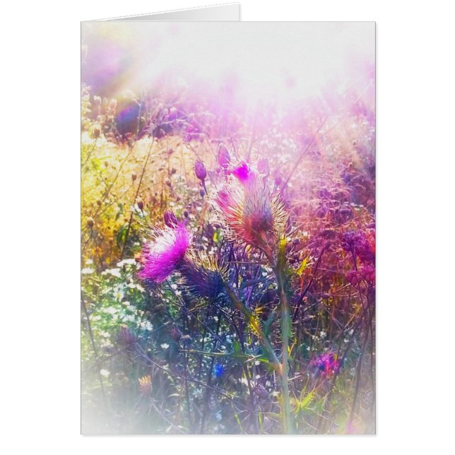 SOL PÅ LITET HÄLSNINGKORT FÖR THISTLES OBS KORT (Framsidan)