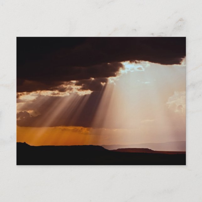 Sol på Masai Mara. 2 Vykort (Framsida)