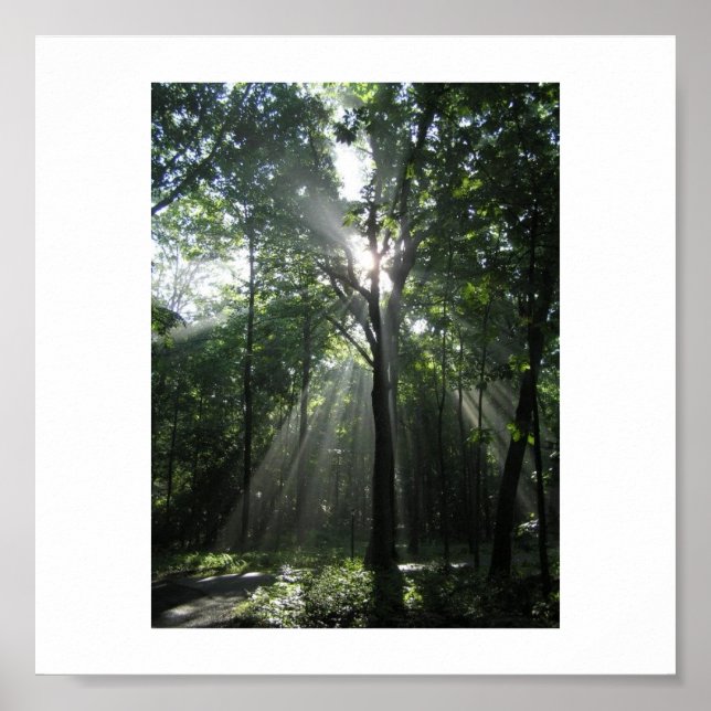 Sol Rays, Misty Morgon Poster (Framsidan)