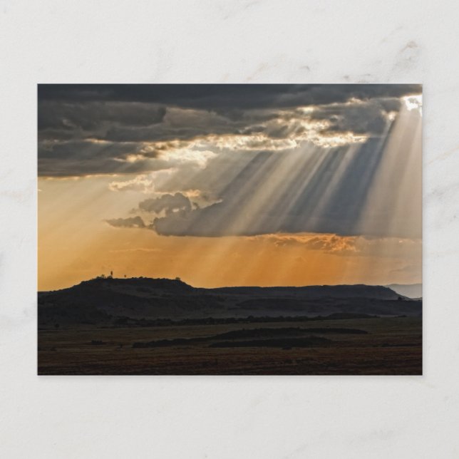 Sol sätter sig på Masai Mara. Vykort (Framsida)