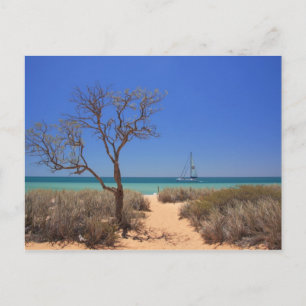 Sol, Sea, Sand - Monkey Mia Westerna Australien Vykort