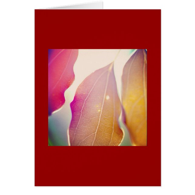 Sol shines genom Löv OBS Kort (Framsidan)