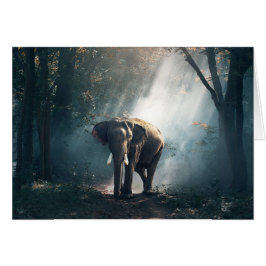 Sol slagen elefant i tomt kort för skog