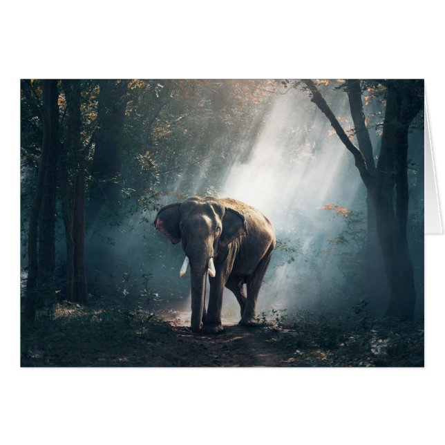 Sol slagen elefant i tomt kort för skog (Framsidan Horizontal)