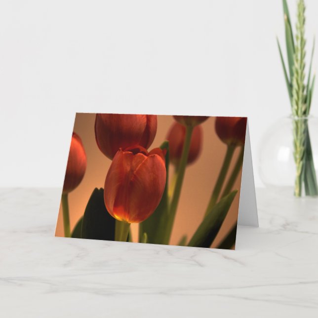 Sol Tack Kort (Framsida)