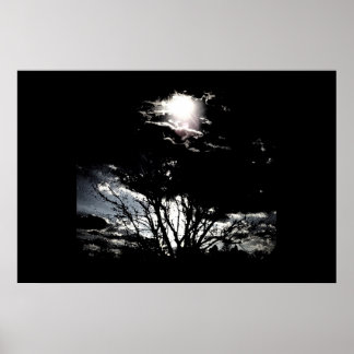 Sol Träd B&W Poster