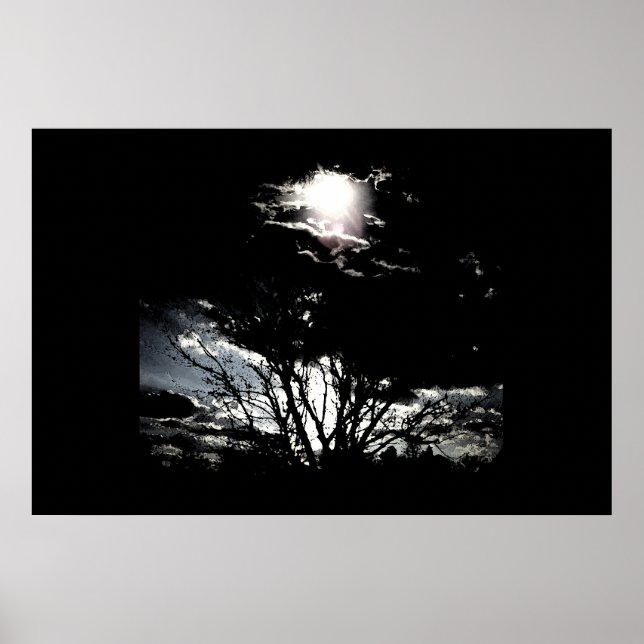 Sol Träd B&W Poster (Framsidan)