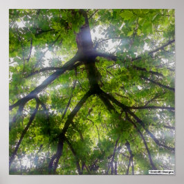 Sol Träd (Ohio) - Poster