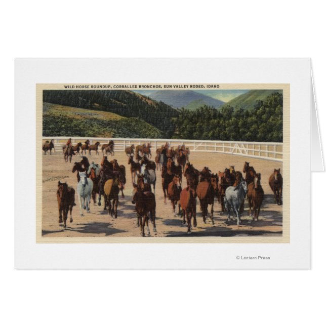 Sol Valley, ID - Vild Horse Roundup Hälsningskort (Framsidan Horizontal)