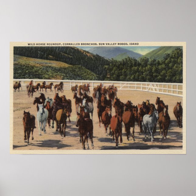 Sol Valley, ID - Vild Horse Roundup Poster (Framsidan)