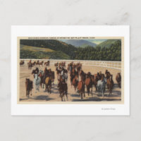 Sol Valley, ID - Vild Horse Roundup