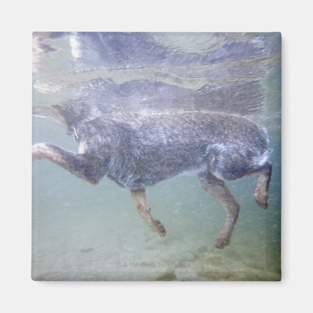 Sol Valley, Idaho, USA. Magnet (Framsidan)