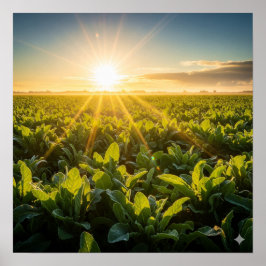 Sol Vital Power Poster