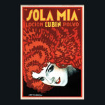 SOLA MIA Hair Shampoo Lotion and Vintage Art Deco Poster<br><div class="desc">Högupplöst reproduktion,  vassa toppen-utskrifter,  färg korrigerat för vibrant och skarpt färger och digitalt reparerat för tårar,  fläckar,  saknade inslag. Sola Mia Hair Shampoo Lotion Vintage Art Deco Poster.</div>