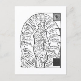 "Solar Chart: The Microcosm" Zodiac Astrology Vykort