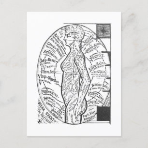 "Solar Chart: The Microcosm" Zodiac Astrology Vykort