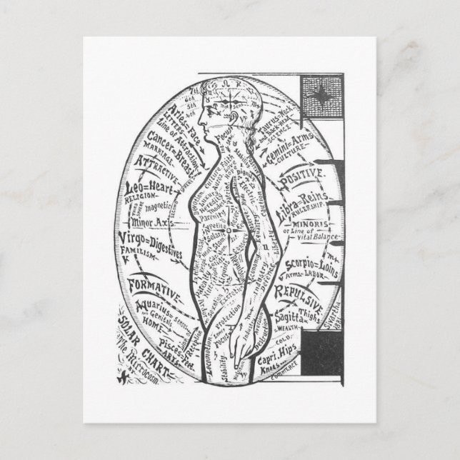 "Solar Chart: The Microcosm" Zodiac Astrology Vykort (Framsida)