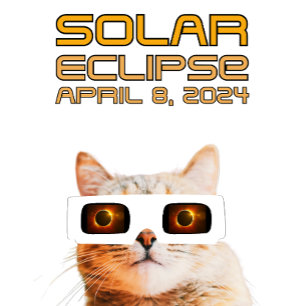 Solar Eclipse 8, 2024 T Shirt