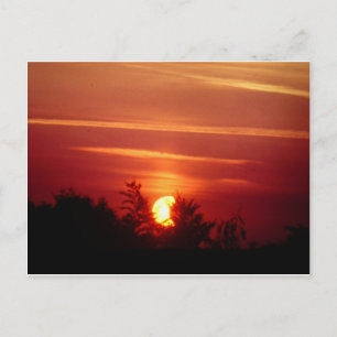 Solar Eclipse Vykort