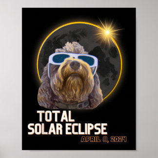 Solära Eclipse Goldendoodle med Eclipse G Poster
