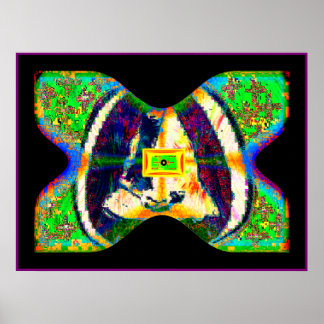 SOLARiBUTTERFLY Poster