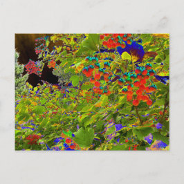 Solarized Red Berries, Mark Edward Westerfield Vykort