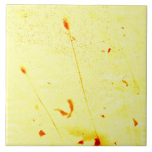 Solavtryck av torkade vallmostjälkar