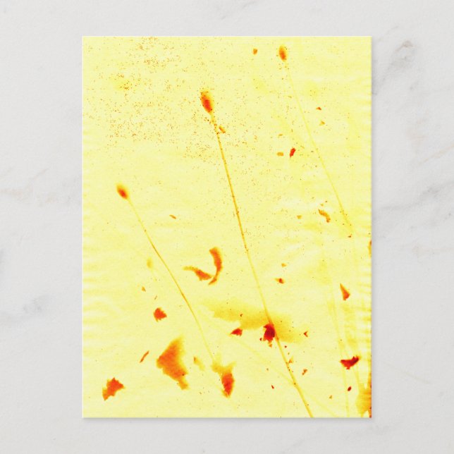 Solavtryck av torkade vallmostjälkar vykort (Framsida)