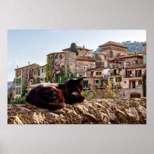 Solbad på en vägg - Valldemossa, Mallorca Poster