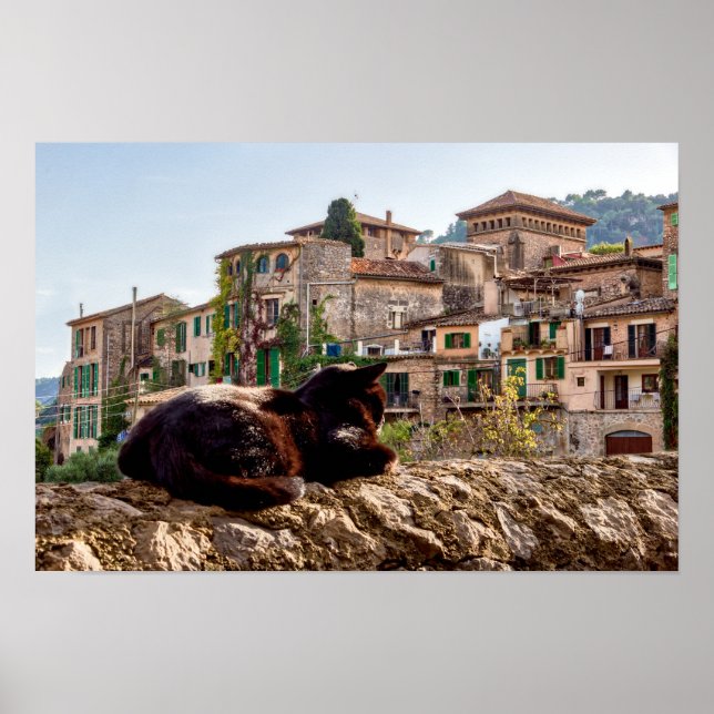 Solbad på en vägg - Valldemossa, Mallorca Poster (Framsidan)