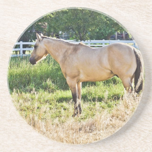 Solbelyst applad morgon underlägg sandsten (Framsidan)