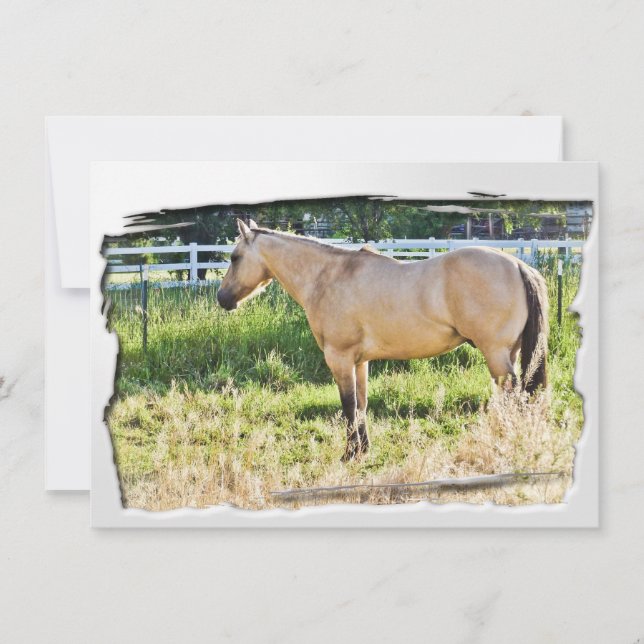 Solbelyst appled Morgon w/ White Ram (Framsida)