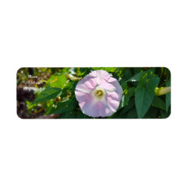 Solbelyst bakgrundsdroppe returadress etikett