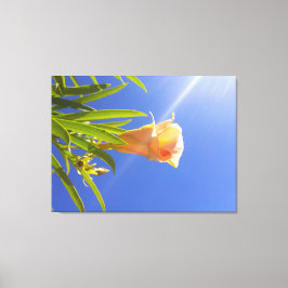 Solbelyst blomning under en djupblå himmel canvastryck