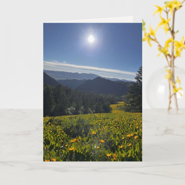 Solbelyst dal kort (Gul blomma)