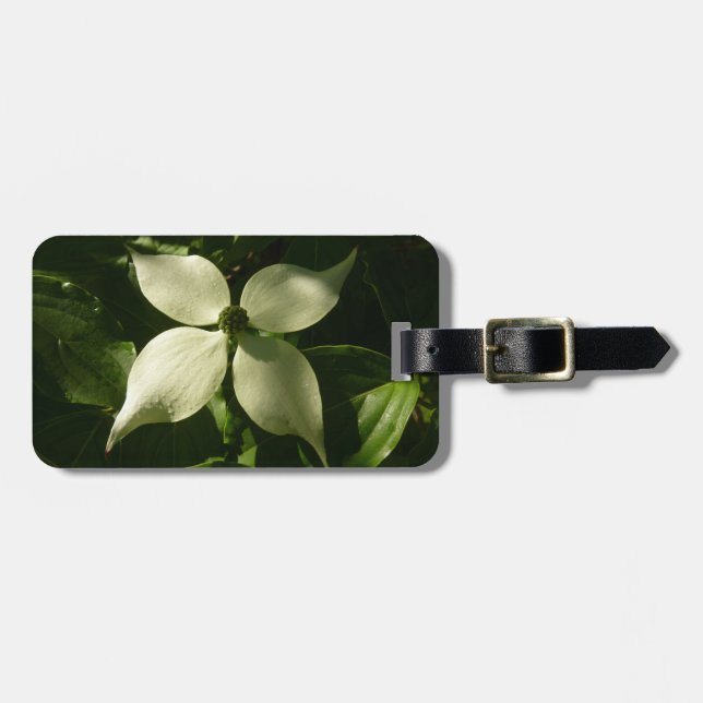 Solbelyst Dogwood Blommar Vår Blommigt Bagagebricka (Horisontell Framsida)
