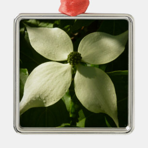 Solbelyst Dogwood Blommar Vår Blommigt Julgransprydnad Metall