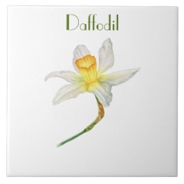 Solbelyst gult Daffodil botanisk vattenfärg Kakelplatta