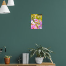 Solbelyst Kör av Rosa