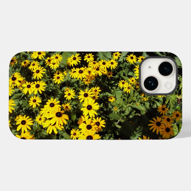 Solbelyst Meadow (Baksida (horisontell))