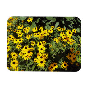 Solbelyst Meadow Magnet