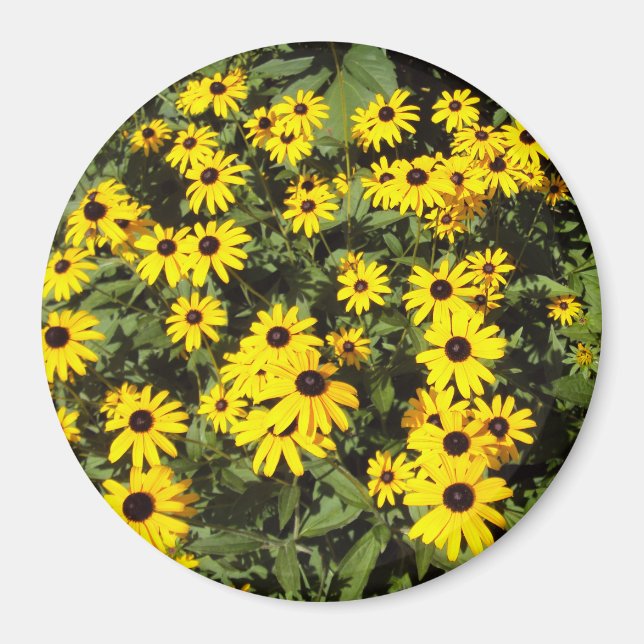 Solbelyst Meadow Magnet (Framsidan)