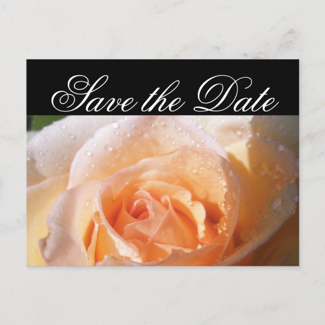 Solbelyst Rosbröllop Meddelande Vykort (Framsida)