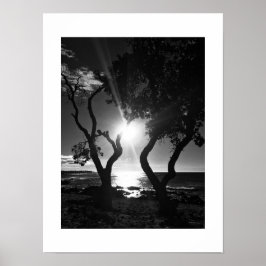 Solbelyst Shore Hawaii Black and White Photography Poster
