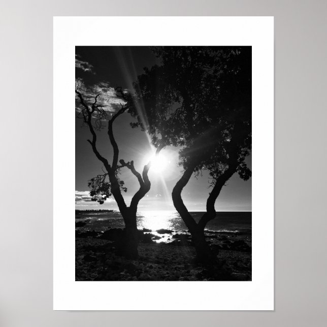 Solbelyst Shore Hawaii Black and White Photography Poster (Framsidan)