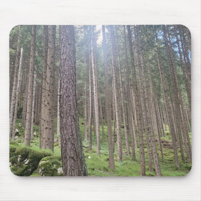 Solbelyst skog - Grön skogsfotografering Musmatta (Framsidan)